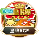 数字体育生态加速扩容，星空体育app官网合作机构超五万家